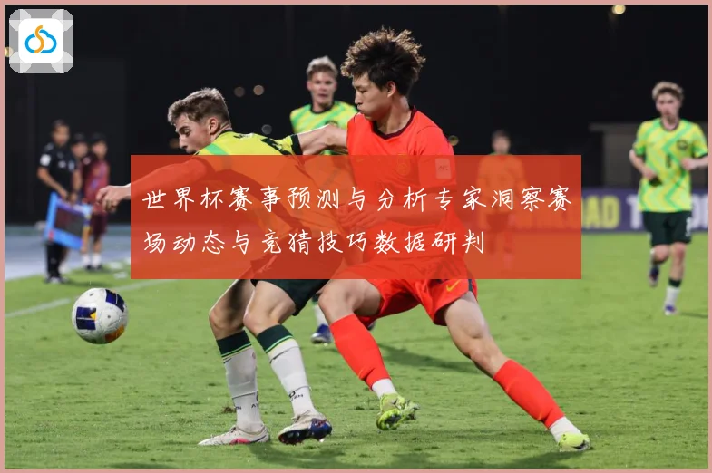 世界杯赛事预测与分析专家洞察赛场动态与竞猜技巧数据研判