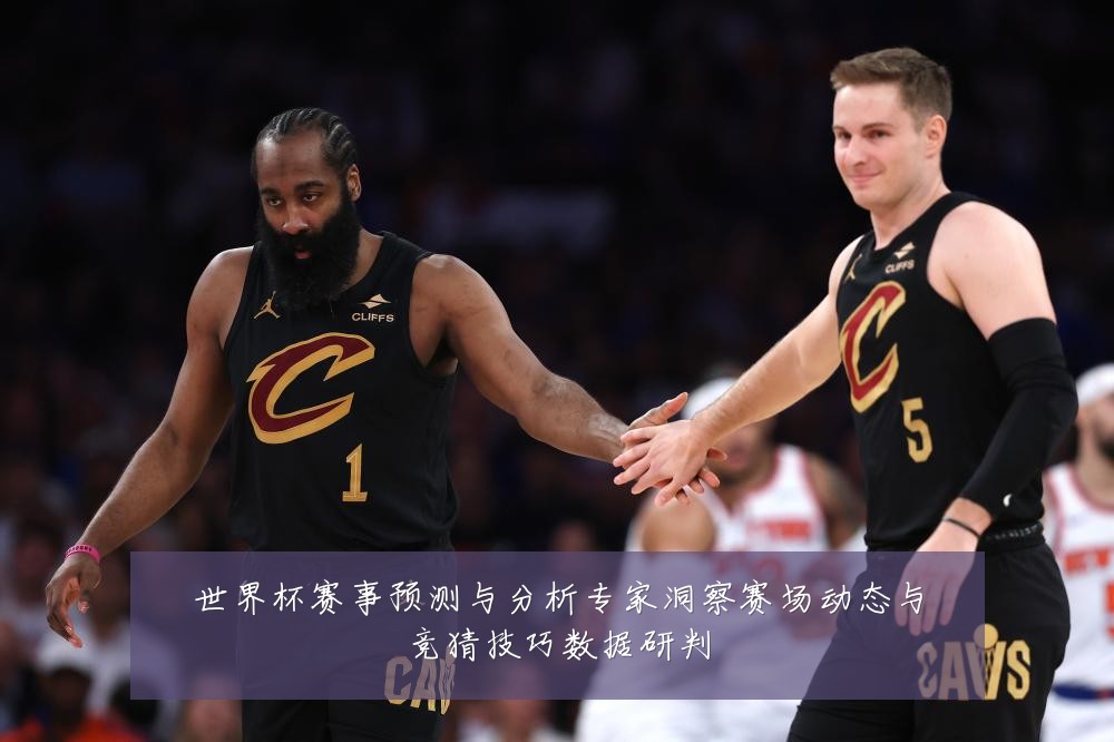 世界杯赛事预测与分析专家洞察赛场动态与竞猜技巧数据研判