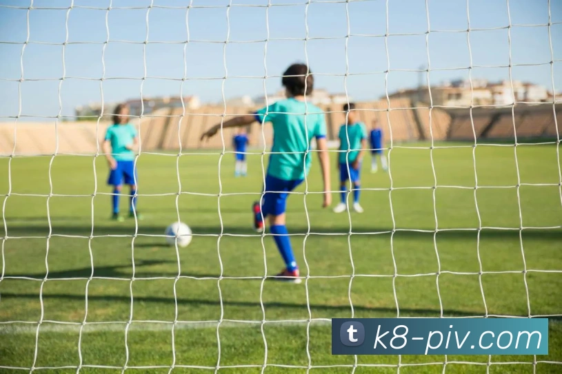 凯发娱乐平台展示图